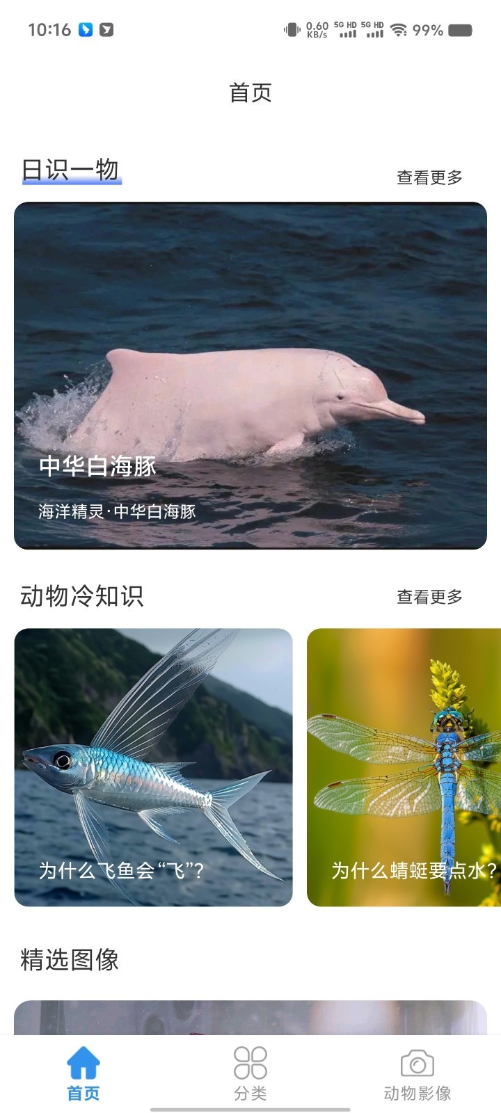 神秘海世界鸿蒙版截图2