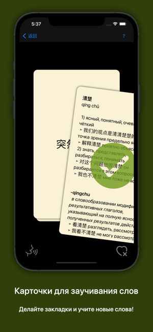 俄汉词典大БКРС|БРуКС8in1俄汉俄词典iPhone版截图6