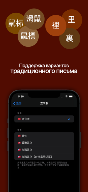 俄汉词典大БКРС|БРуКС8in1俄汉俄词典iPhone版截图4