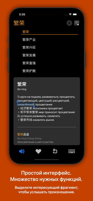 俄汉词典大БКРС|БРуКС8in1俄汉俄词典iPhone版截图2