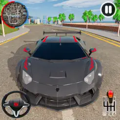 驾驶模拟器：汽车游戏iPhone版