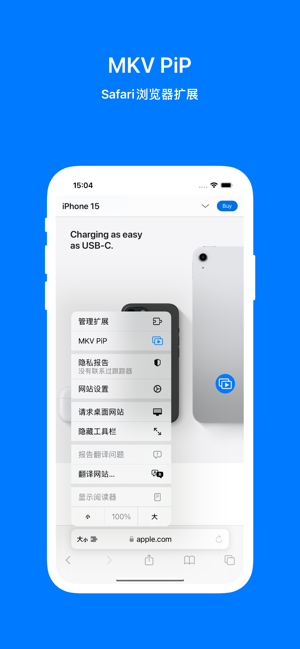 MKVPiP播放器iPhone版截图4