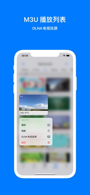 MKVPiP播放器iPhone版截图3