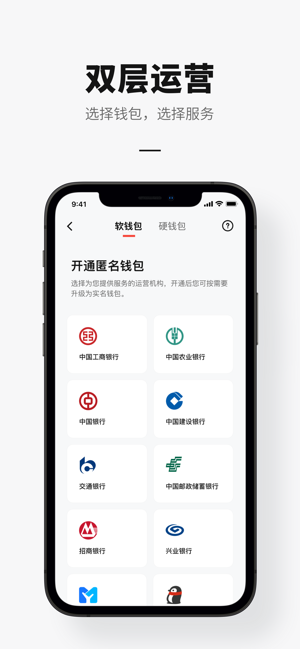 数字人民币iPhone版截图2