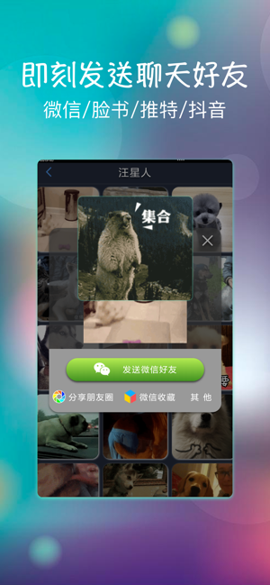 GIF动图表情包iPhone版截图3