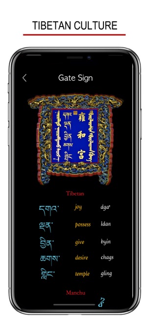 藏文书写及藏英词典iPhone版截图5