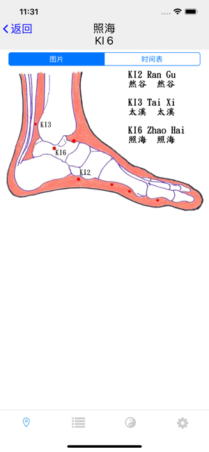 子午灵龟iPhone版截图3