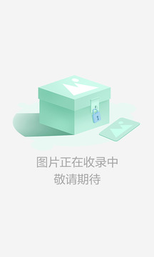 霸略征战截图1