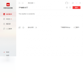 网易有道翻译PC版截图3