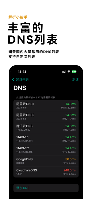 DNS测速iPhone版截图3