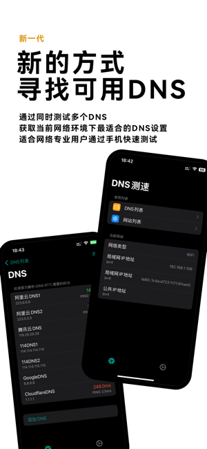 DNS测速iPhone版截图1