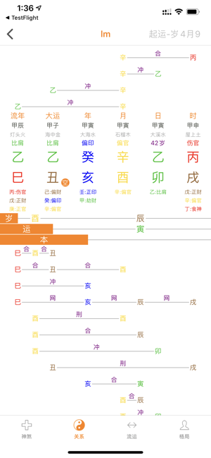 八字排盘专业版iPhone版截图2