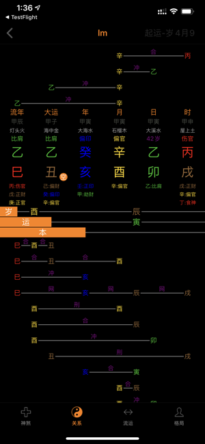 八字排盘专业版iPhone版截图9