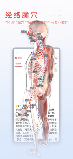 3Dbody解剖iPhone版截图5