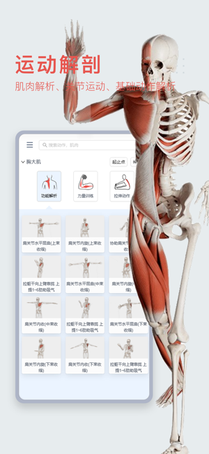 3Dbody解剖iPhone版截图3