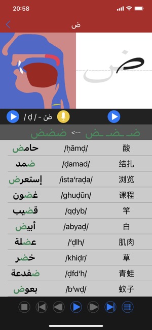 阿拉伯语发音iPhone版截图2
