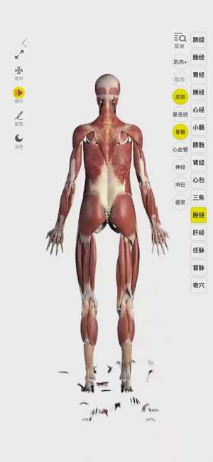 3Dbody解剖iPhone版截图1