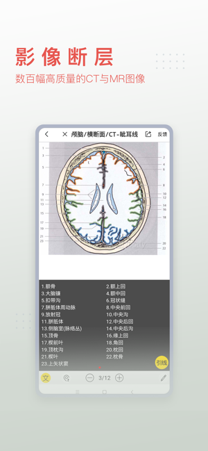 3Dbody解剖iPhone版截图7