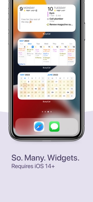 BusyCal:日历和计划应用iPhone版截图7