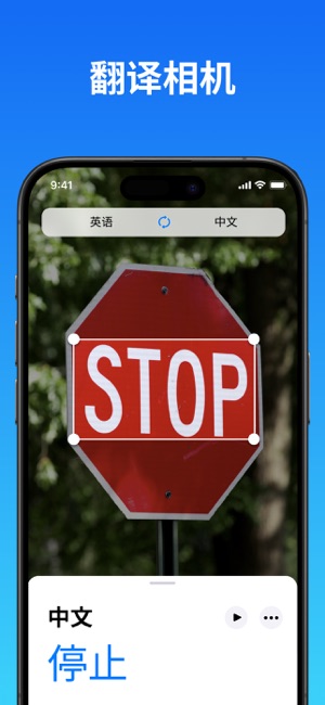 翻译iPhone版截图5