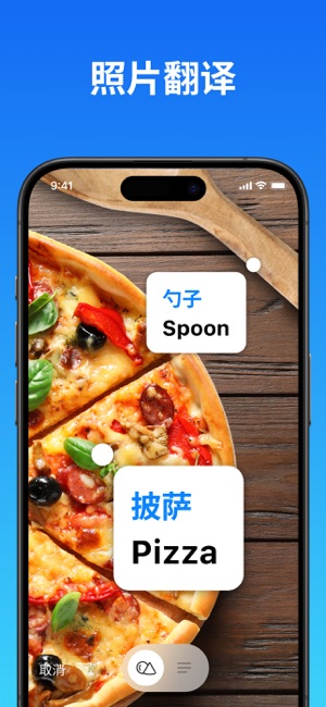 翻译iPhone版截图2