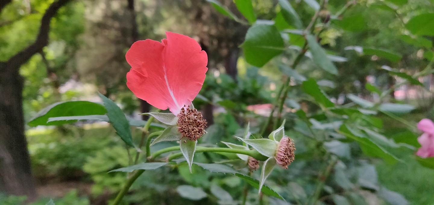 高通骁龙845芯片，全速旗舰一加手机6评测