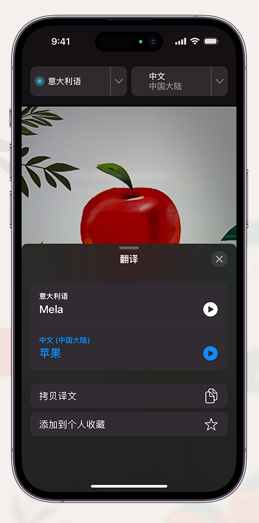 iPhone 小技巧：支持通过摄像头取景翻译文本