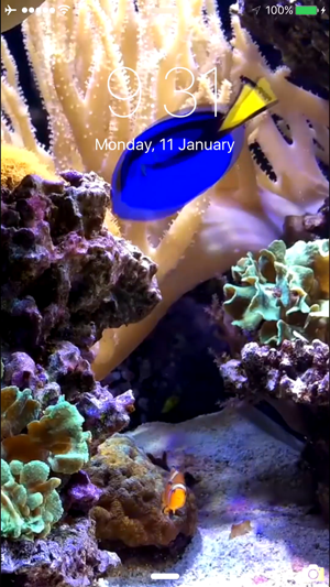 水族馆锁屏动态壁纸+iPhone版截图1