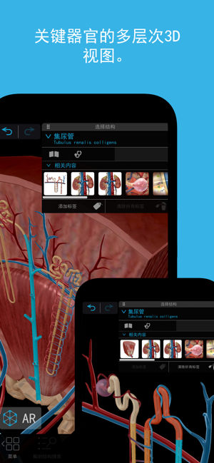2024人体解剖学图谱iPhone版截图3