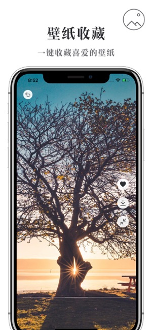 壁纸坊iPhone版截图4