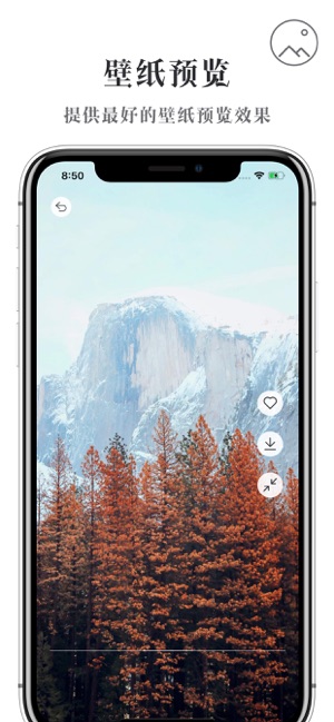 壁纸坊iPhone版截图3