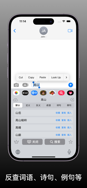 醒词键盘iPhone版截图2