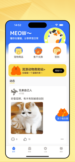 爱游猫iPhone版截图1