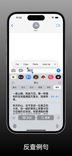 醒词键盘iPhone版截图6