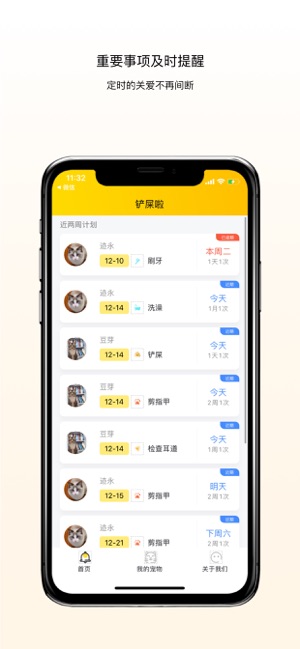 铲屎啦iPhone版截图2