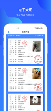 犬卫士截图5