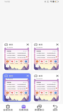 全速浏览器截图4