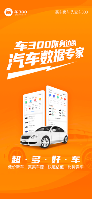 车300二手车iPhone版截图2