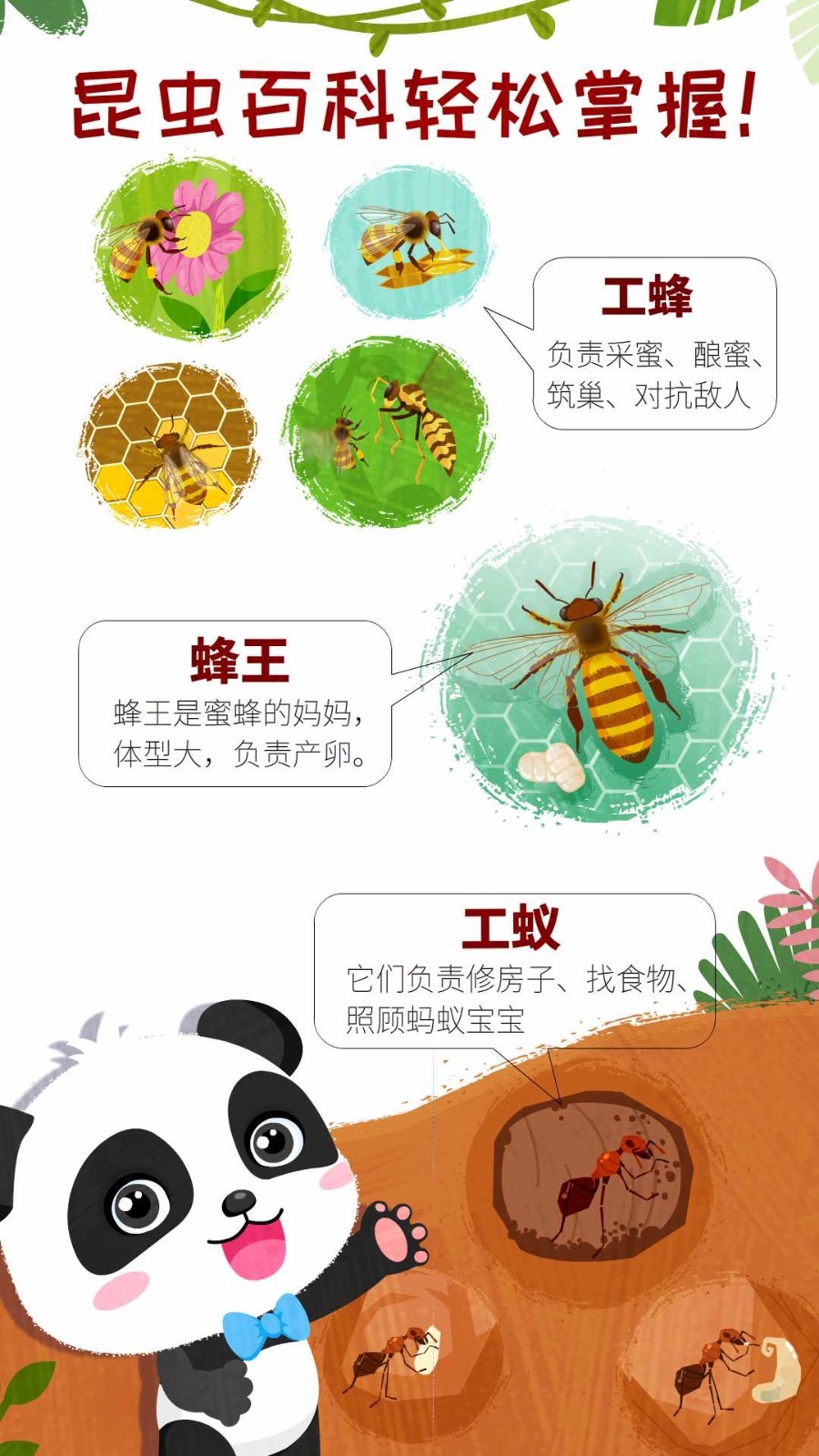 奇妙昆虫世界鸿蒙版截图4