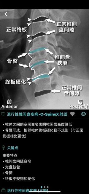 影像图谱iPhone版截图7