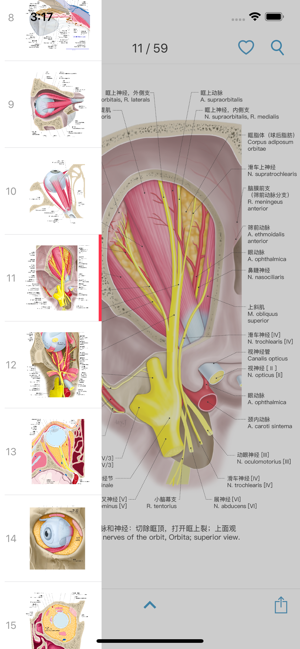 眼部解剖图谱iPhone版截图3