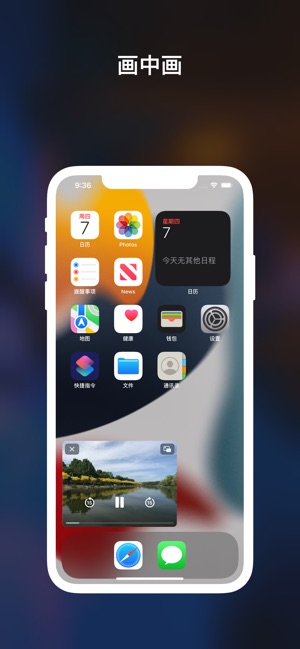 DTNet浏览器iPhone版截图7