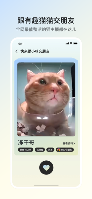 街猫｜流浪猫云喂养绝育领养iPhone版截图2