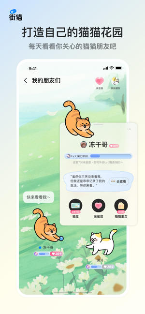 街猫｜流浪猫云喂养绝育领养iPhone版截图3