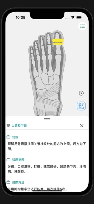 反射区iPhone版截图9