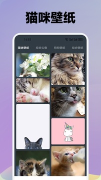 我家猫舍鸿蒙版截图3