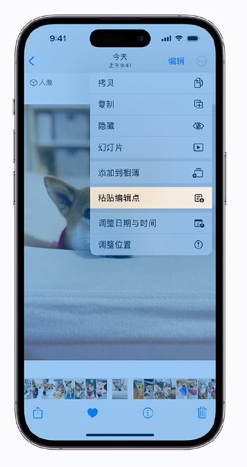 iOS 16 小技巧：支持拷贝编辑，轻松实现批量修图