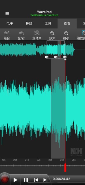 WavePad大师版2022iPhone版截图6