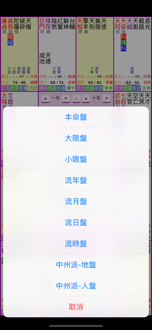 紫微斗數排盤iPhone版截图5