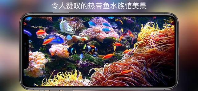 水族馆HD+iPhone版截图2